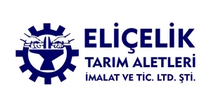 2. Yıl