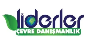 3. yıl